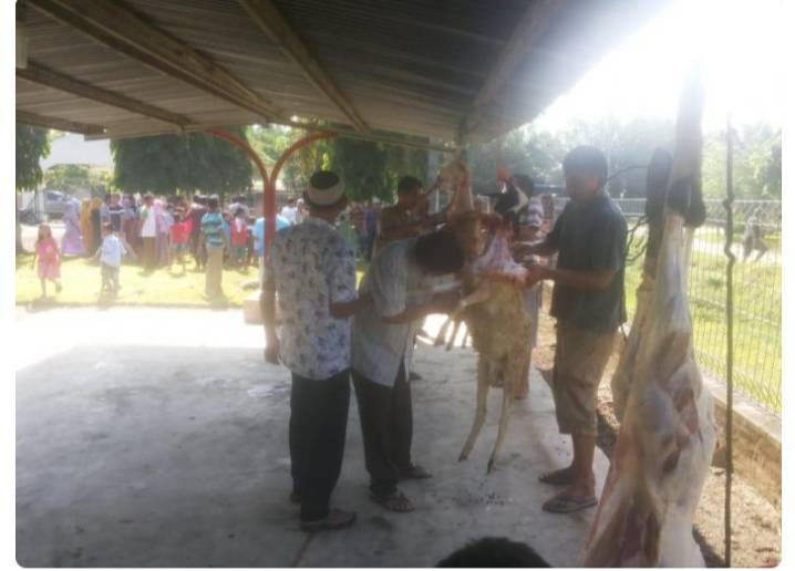 Idul Adha 1442 H, PTPN IV Kebun Gunung Bayu Sembelih 24 Ekor Hewan Qurban
