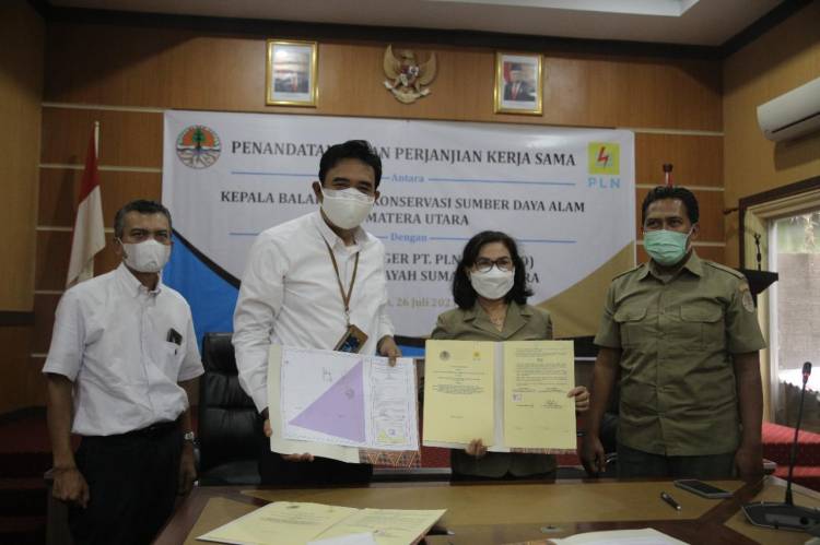 PLN Siap Melistriki Desa Terisolir di Kabupaten Labuhan Batu Selatan