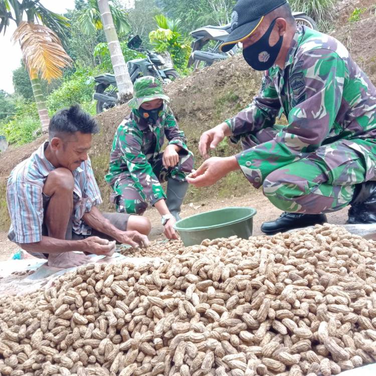Anggota Satgas TMMD/N ke 111 Lakukan Komsos Dengan Petani Kacang