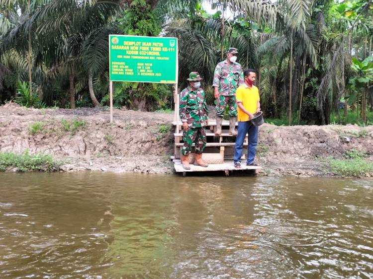 Demplot budidaya ikan patin program TMMD, Kasdim 0321/Rohil kunjungi lokasi kolam