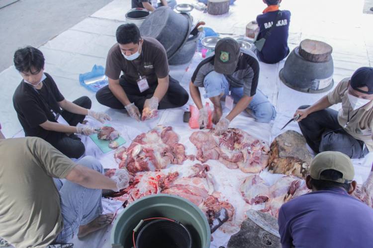 Ringankan Beban Masyarakat Dimasa Pandemi, Kecamatan Medan Petisah Qurban 16 Ekor Sapi Dan 4 Ekor Kambing