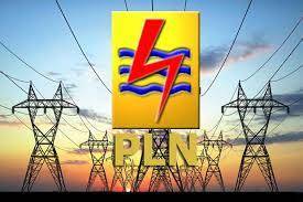 PLN Sesalkan Perlakuan Kasar ke Petugas saat Tagih Tunggakan Listrik
