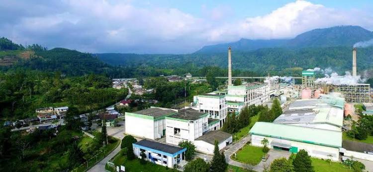 Kisruh PT TPL Terus Berlanjut, Surat Bupati Pun Jadi Omongan