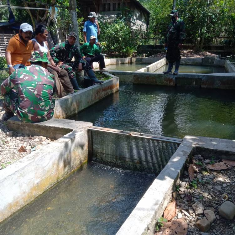 Anggota Satgas TMMD ke 111 Tinjau Tempat Pembibitan Ikan Milik Warga