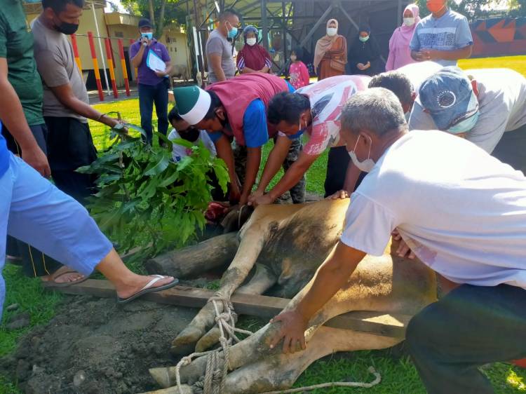 Peringati Hari Raya Idul Adha, Brimob Polda Sumut Sembelih Puluhan Ekor Hewan Kurban