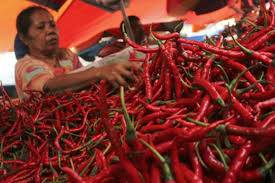 Harga Cabai Hot Membara, Menteri Perdagangan : Saya Dimarahi Orang-Orang!