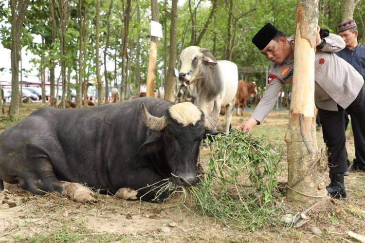 Kapolda Sumut : qurban adalah bukti ketaqwaan seorang muslim kepada Allah SWT.