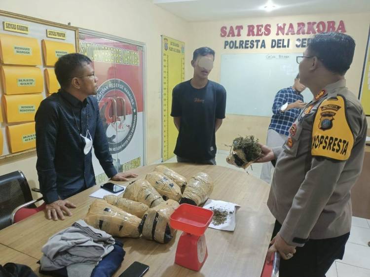 Sat Narkoba Polresta Deli Serdang Gagalkan Peredaran Ganja Antar Provinsi
