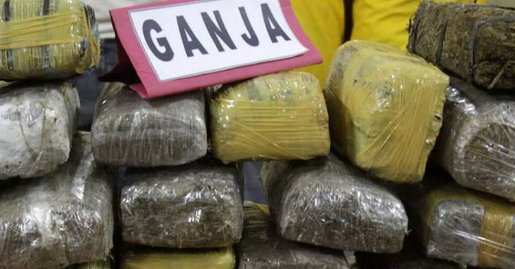 Tok! Mahkamah Konstitusi Tolak Legalisasi Ganja Medis, Berikut Sederet Penyakit Bisa Di Obatinya