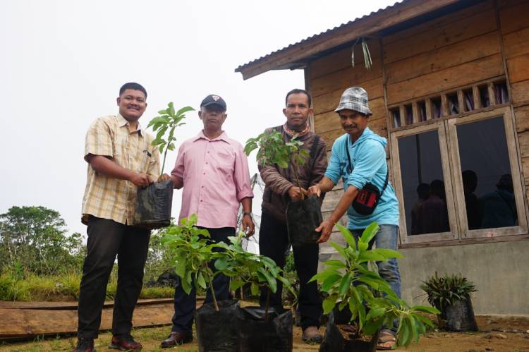 TPL Salurkan 700 Bibit Alpukat