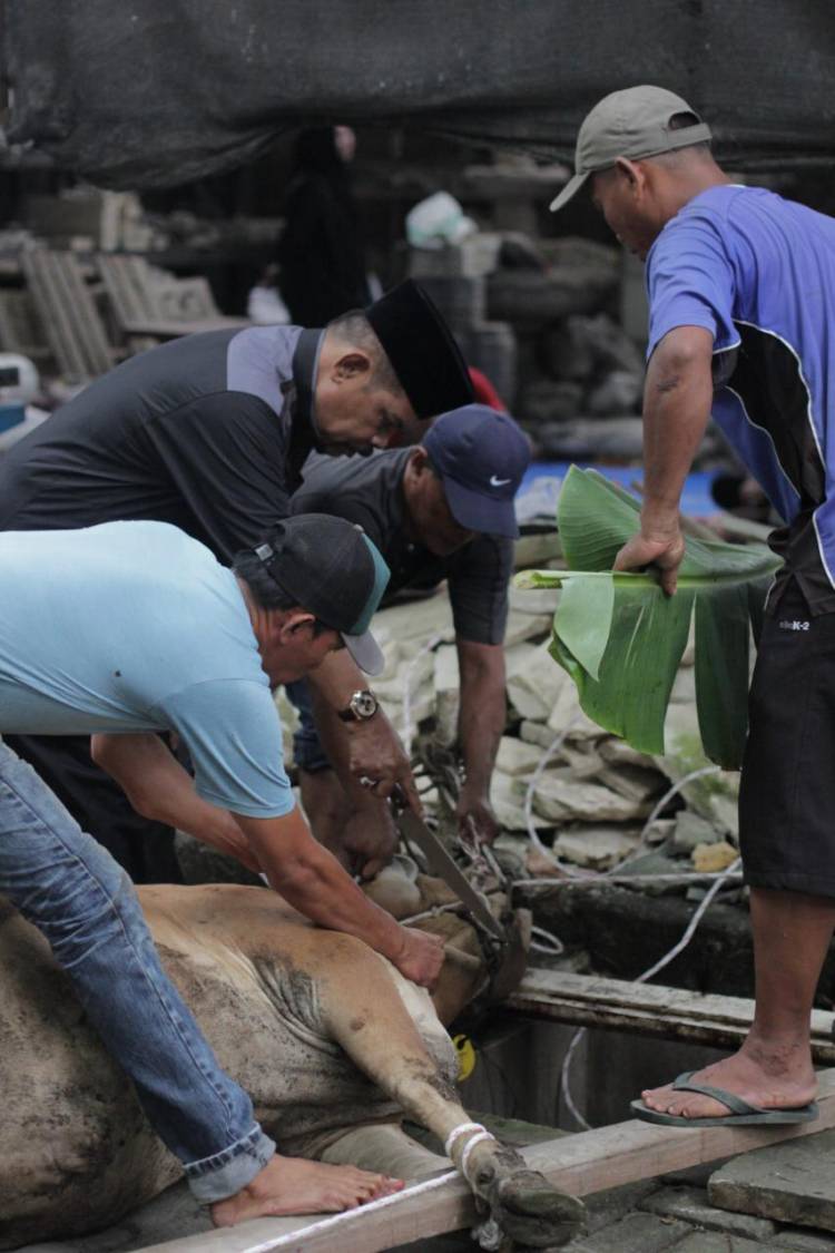 Rahudman: Berqurban Itu Bentuk Kebersamaan Menjaga Silaturahmi