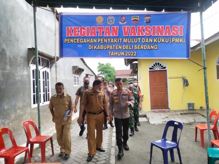 Cegah PMK Pada Ternak, Kapolresta Deli Serdang Tinjau Langsung Vaksinasi Hewan di Desa Sugiharjo Batang kuis
