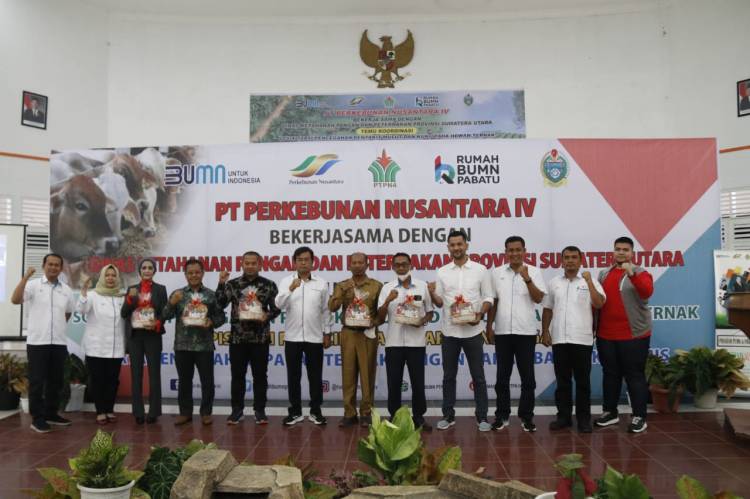 Dinas Ketahanan Pangan dan Peternakan Sumut Sosialisasi Pencegahan PMK pada Ternak Sapi