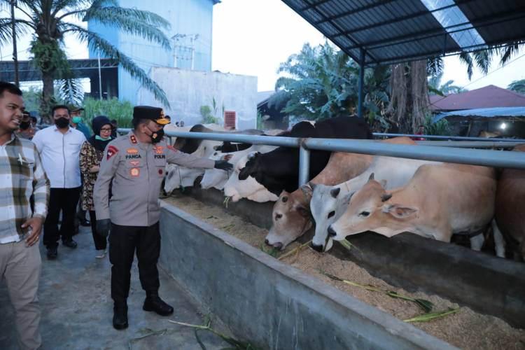 Jelang Idul Adha, Kapolda Sumut Datangi Rumah Ternak Hewan Qurban