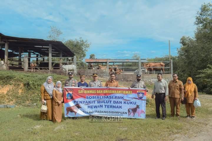 Dinas Pertanian Bersama Binmas Polres Padang Sidempuan Monitoring Hewan Qurban