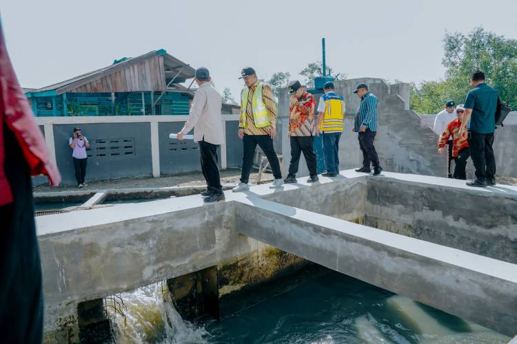 Tinjau Rumah Pompa Air, Bobby Nasution: Alhamdulillah, Mampu Atasi Banjir Rob