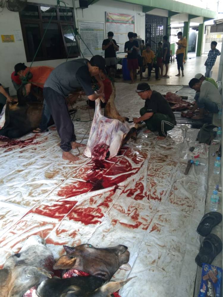 Mesjid Al Muslimin Sei Batang Serangan sembelih 16 Hewan Qurban
