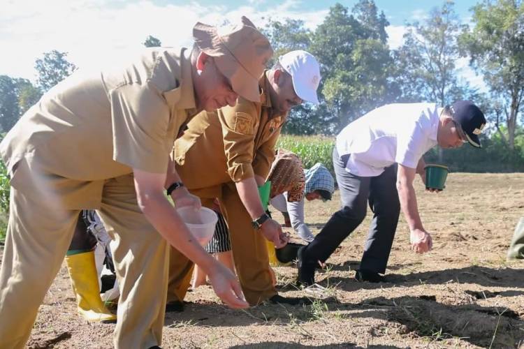 Bupati Humbahas Tanam Jagung Bersama KT Serasi di Paranginan