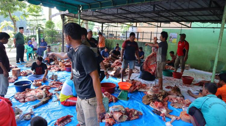 Kecamatan Medan Barat Sembelih 7 Sapi dan 6 Kambing Kurban