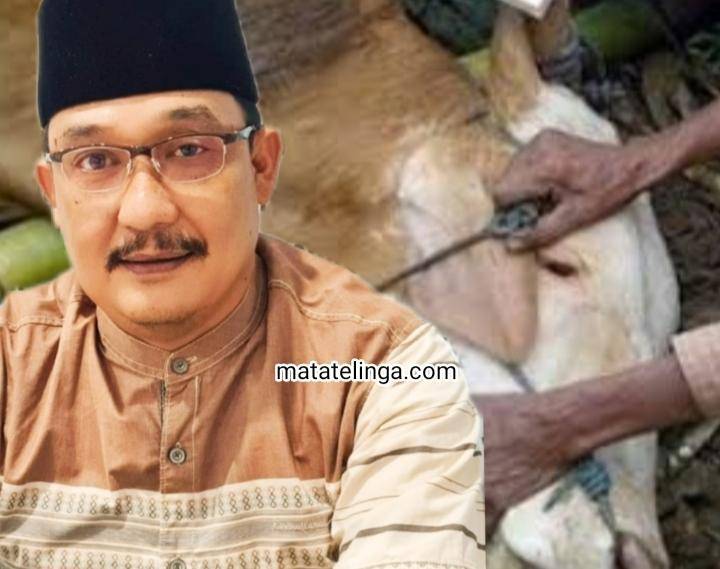 Hewan Qurban Yang Disembelih sebanyak 3.811 Ekor Kata Plh Kadis  Kominfo Asahan
