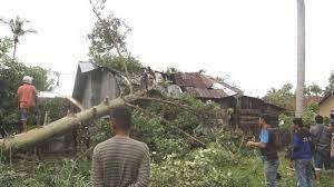 Pohon Besar Tumbang di Blang Luah dan Menimpa Rumah Warga