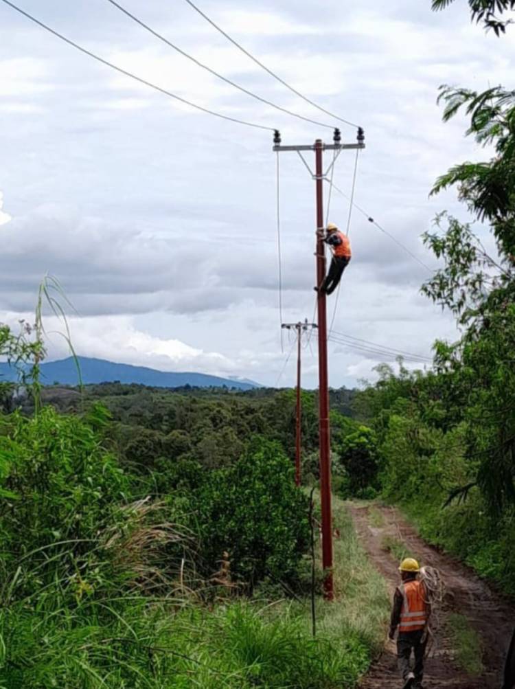 1.253 Pelanggan Daerah Tertinggal di Sumut Nikmati Listrik PLN