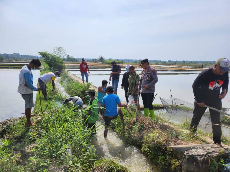 Meresahkan Warga, Kapolsek Tanah Jawa Ikut Perburuan Tikus Sawah Bersama Warga