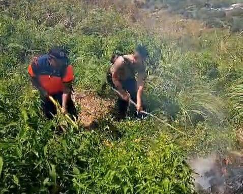 Polres Tanah Karo Berhasil Lakukan Pemadaman Kebakaran Lahan di Bukit Sipiso-Piso bersama Manggala Agni dan Kodim 0205/TK