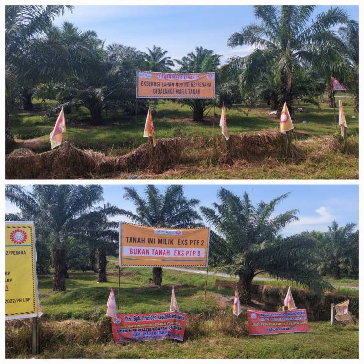 Masyarakat Penggugat Lahan Kebun Penara PTPN 2 Diduga Gunakan Surat / Bukti Palsu Dimenangkan Hakim MA