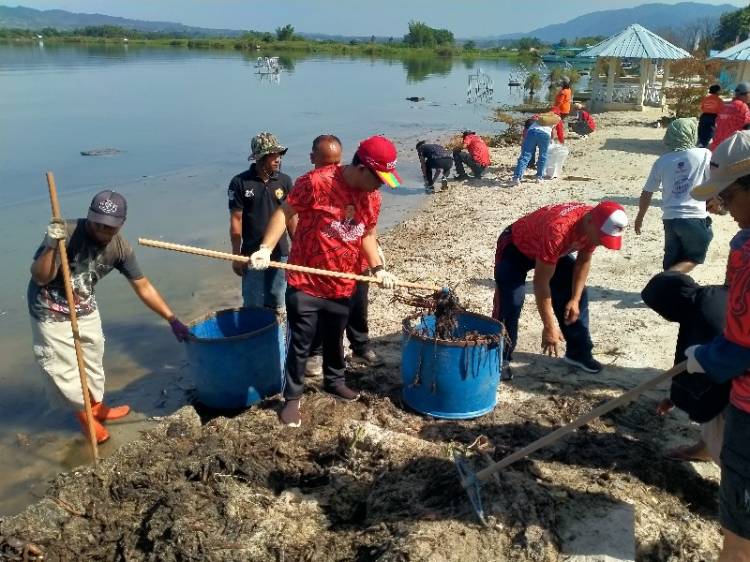 Songsong PON XXI, Bupati Toba Gotong royong Bersama Mahasiswa STIKES Arjuna Bersihkan Sampah di Pantai Pasir Putih Parparean