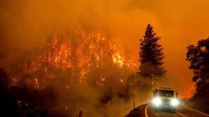 Kebakaran Hutan di California, Menghanguskan Lebih dari 71.000 Hektar Lahan, Tersangka Ditangkap