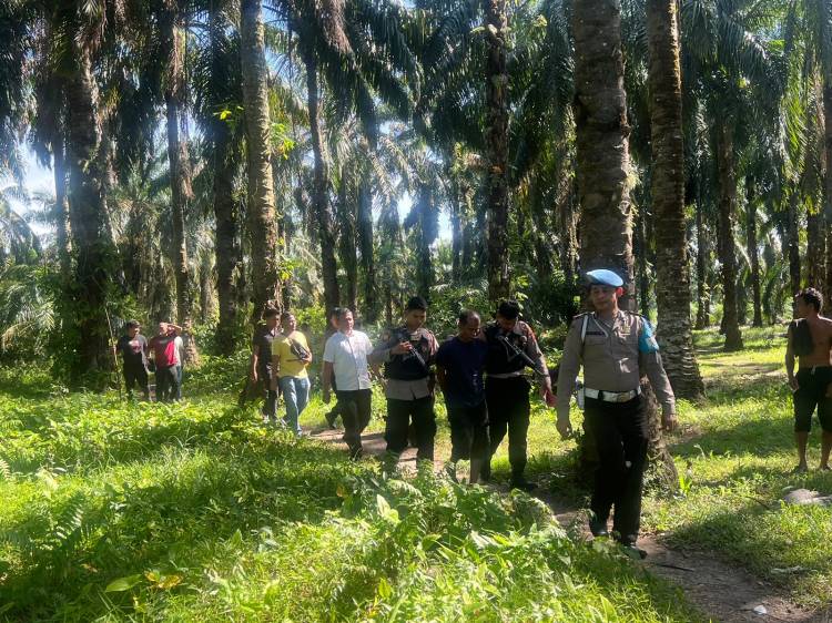 Polres Labusel GKN di Perkebunan Sawit Sisumut, Ini Hasilnya