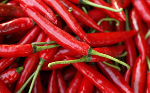 Harga Cabai Kembali Meroket