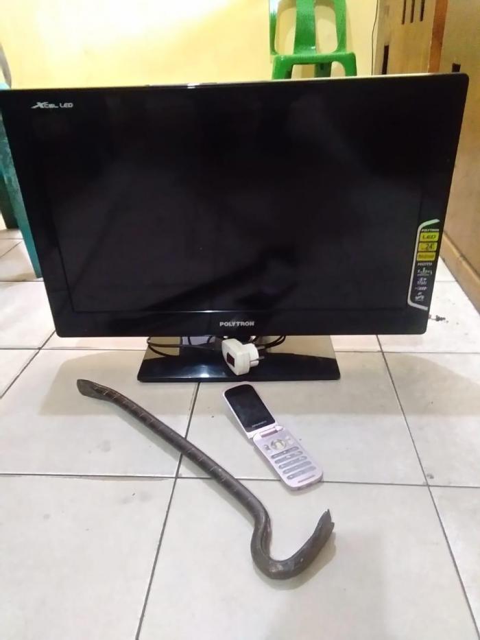 Pelaku Spesialis Bongkar Rumah Kosong, Lanjut ke Terali Besi