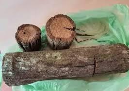 Viral Tanaman Bajakah Jadi Obat Kanker