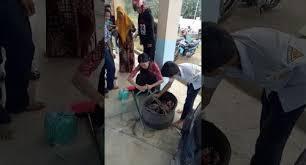 Tangkap Ular Piton dengan Tangan Kosong, Guru ini Sontak Viral