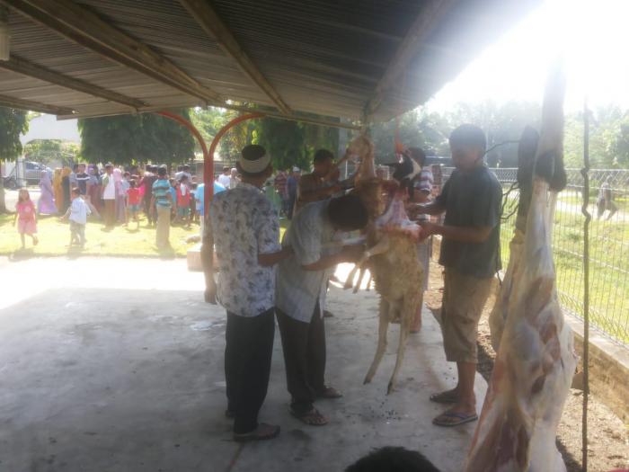 Idul Adha 1440 H/2019,PTPN IV Unit Kebun Gunung Bayu,Sembelih 40 Ekor Hewan Qurban 