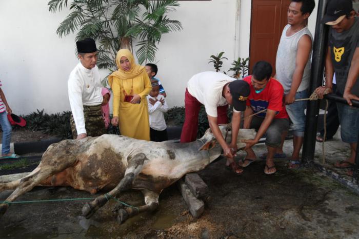 Pemko Siantar Kurban 7 Ekor Sapi, Bagikan 750 Kupon ke Masyarakat
