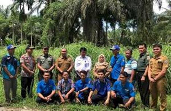 Sekdako Binjai Kunjungi Lokasi Pertanian Relawan Anti Narkoba