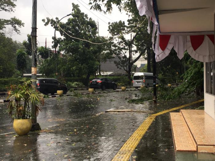 Pohon Tumbang Timpa Mobil dan Macetkan Lalulintas Kota Medan