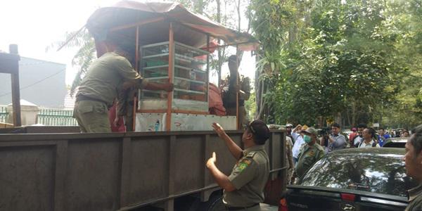 Tertibkan Warkop RS Elisabeth, Kasatpol PP Disiram Air Panas