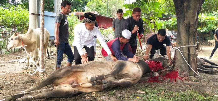 Idul Adha 1440 H, Polres Labuhanbatu Qurbankan 12 Sapi dan 3 Domba