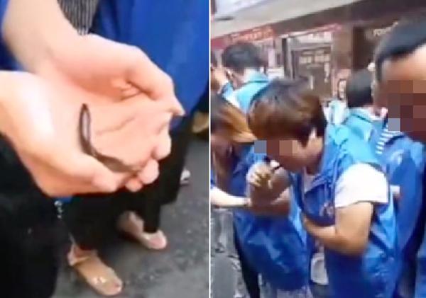 Berdear di Medsos, Perusahan Jatuhi Hukuman Karyawan,  Minum Darah Ayam 