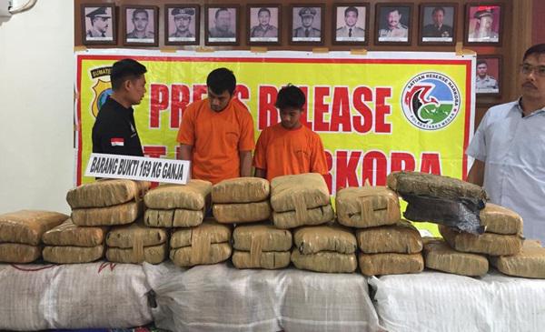 Polrestabes Medan Gagalkan Peredaran 169 Kg Ganja di Deliserdang