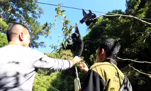 Wagub Musa Rajekshah Apresiasi Taman Wisata Kera Sibaganding