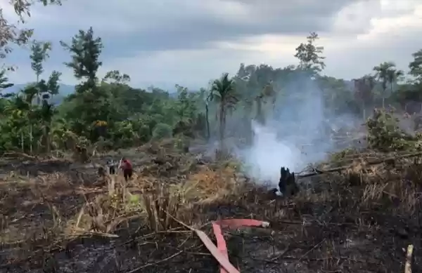 Petugas Masih Dalami Kebakaran Lahan Kosong