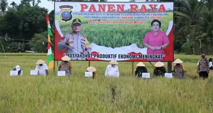 Kapolda Sumut Panen Raya di Kampung Paten Peduli Sehat