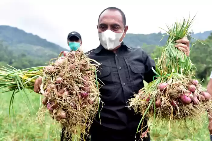 Edy Rahmayadi : Kita Senang STM Hulu Mampu Produksi Bawang Merah Berkualitas