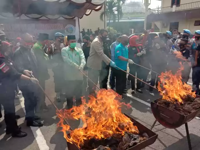 Ratusan Kilo Narkoba di Bakar, Polrestabes Medan Bau Asap Ganja