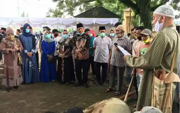Pemko PSP Sembelih 9 Ekor Hewan Kurban